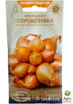 фото цибуля-шалот «сорокозубка» тм «семена україни» 0.25г