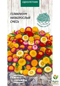 фото геліхрізум низькоросла суміш тм "насіння україни" 0.2г